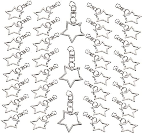 PHENOFICE 60stücke Schlüsselanhänger Karabinerhaken Aus Metall Drehbarer Verschluss Schnappverschluss Leicht Und Robust Für Diy Anhänger Schlüsselzubehör Hundehalsband Gepäckgurt