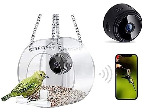 Petyoung Smart Birdfeeder mit HD 1080P Kamera für Vogelbeobachtung im Freien, transparentes Vogelhaus für Nahaufnahmen, Fotoaufnahmen, Videoaufnahmen
