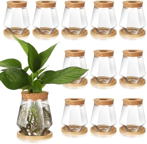 Baderke 12 Packs Propagation Vases for Plants Plastic Plant Propagation with Hole Lid and Bamboo Stand Growing in Water Hydroponic Home Office Desktop Vase Decoration (Cup Style)