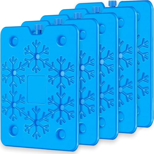 TUXUNQING Groß Kühlakkus 800ml/5 Stück - Wiederverwendbare Flache kuehlakku, Kühlelemente für Kühltasche und Kühlbox- Extra Dünn & Lange Kühlleistung für Camping, Picknick oder Angeln (5)