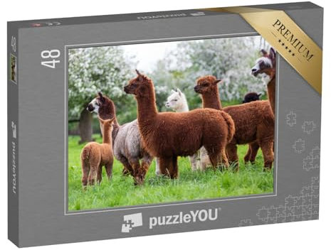 puzzleYOU: Puzzle 48 Teile „Alpaka-Herde auf Einer Frühlingswiese, südamerikanische Säugetiere“ – aus der Puzzle-Kollektion Alpakas, Exotische Tiere & Trend-Tiere