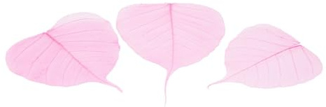 NaDeco Skelettblätter, in vielen Farben zur Auswahl, verpackt mit 200 Stück Skelett-Blätter Willowblätter getrocknete Blätter Dekoblätter Schleierblätter Scrapbooking Boho-Style, Farbe:Pink