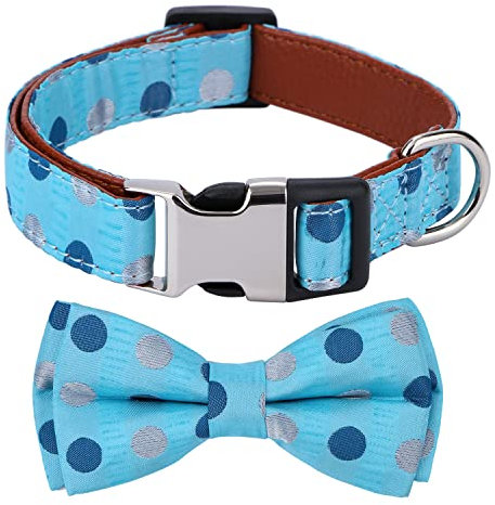 Rhea Rose Bowtie Hundehalsband, Blaue Punkte, klein