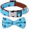 Rhea Rose Bowtie Hundehalsband, Blaue Punkte, klein