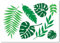 GORGECRAFT 29.7x21cm Tropenblatt-Schablonen Monstera-Palmenblätter-Vorlage Große Wiederverwendbare Botanische Blätter-Wandschablonen Zum Malen Auf Holz Fliesen Boden Möbeln Leinwand DIY Heimdekoration