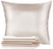 Taie Oreiller Soie 65x65 Dreamzie - 100% Soie Mûrier 19 Mommes Naturelle Certifiée Oeko-TEX - Bienfaits Cheveux et Peau Anti-Âge - Gris Argenté