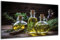 DARO Design - witziges Küchen-Bild auf 6mm HDF 84x56 cm Olivenöl - Wand-Deko Bilder Lustiges Geschenk