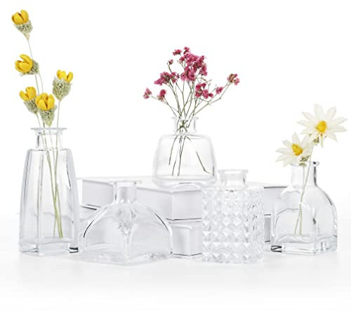 EylKoi Kleine Vasen füR Tischdeko Mini - Vasen Hochzeit Tischdeko, Vasen Glasvasen kleine Glasvase, Ingwerknospenvasen, Blumenvasen, Bulk für Tafelaufsätze, Dekoration, Zuhause, Hochzeit, Tisch