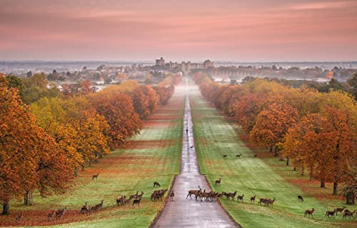 Holzpuzzle Erwachsene 1000 Teile England Windsor Castle Park Hirschpanorama 75 * 50Cm