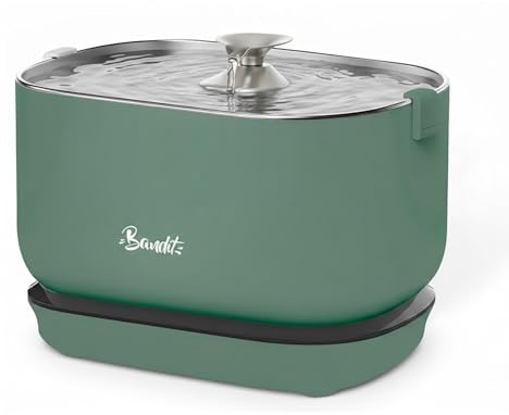 Bandit - Fontaine à Eau sans Fil pour Chat - Vert - Acier Inoxydable - 2,5L | Autonomie 30 Jours - Filtration 4 Étapes - Détecteur Mouvement - Ultra Silencieuse inférieure 30dB - Hydratation Chat
