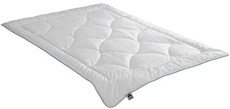 Badenia Irisette Steppbett Greta Mono, Größe 135x200 cm, Ganzjahresdecke