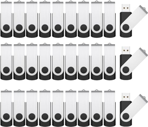 RAOYI 50 Pack 4GB USB Flash Drive, USB 2.0 Memory Stick Bulk Thumb Drives Pen Drive Zip Drive Bundle-Black