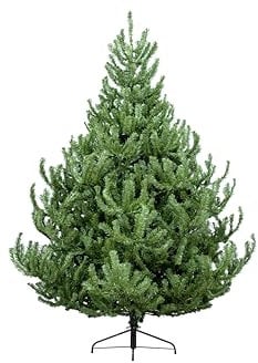 Christmas Tree World | 5ft Artificial Unlit Mountain Pine | Natural and Realistic Look with Bushy and Luxury Quality PVC Tips | Easy to Assemble and Take Down | 117cm Diameter