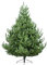 Christmas Tree World | 5ft Artificial Unlit Mountain Pine | Natural and Realistic Look with Bushy and Luxury Quality PVC Tips | Easy to Assemble and Take Down | 117cm Diameter