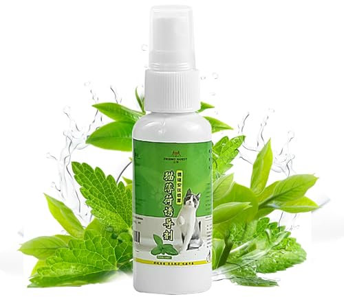 Vllold Spray naturel d'herbe à chat – Spray naturel d'herbe à chat de 50 ml, spray apaisant pour chat, aide à réduire le stress et le soulagement des chats, accessoires pour chats et chatons pour une