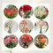 1 pcs amaryllis zwiebel als geschenk, steingartenpflanzen winterhart amaryllis zwiebeln, Hippeastrum rutilum, geschenke für pflanzenliebhaber balkonpflanzen, blumenzwiebeln frühblüher