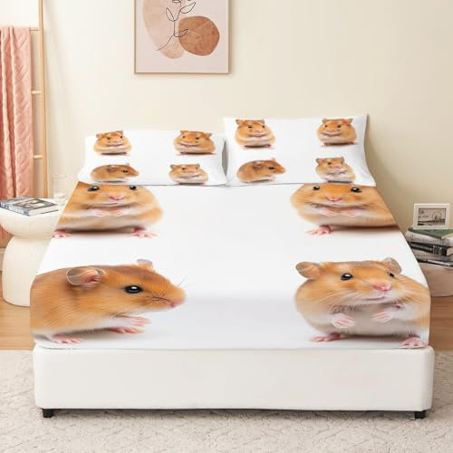 Gelb Spannbettlaken 90 x 190 cm Kinder Mädchen Hamster in süßer Pose Muster Bettlaken Boxspringbett Topper Mikrofaser Kindermotiv Spannbetttuch für Matratze bis 30 cm Hohe