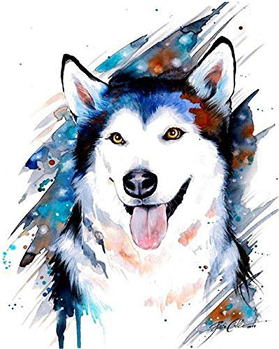 YEESAM ART DIY Ölgemälde Malen nach Zahlen Erwachsene Kinder, Wolf Hund Abstrakt Tier Zahlenmalerei ab 5 Öl Wandkunst (Wolf, mit Rahmen)