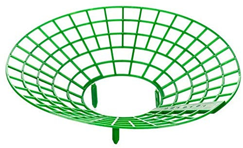 Growment 10 Stücke Erdbeer Sttnder Rahmen Halter Balkon Pflanz Regal Obst Stütz Pflanze Blume Klettern Vine Pillar Gartenarbeit Stand