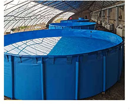 Piscine Fuori Terra, Rotondo Pesce Di Tela Stagno Con Staffa Metallica Grande Fold Aquarium Piscina For Bambini Serbatoio For Pesci For Conservare Irrigazione Idrica, Facile Da Installare ( Colore : B