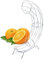 Novaliv 1 soporte para naranjas, 9 x 44 x 32 cm, de acero cromado, elegante y resistente, alternativa perfecta para frutero