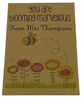 10 x Teacher to Pupil Seed Gift Packets Contains Wildflower, Class Gift End of Year Term Present for Students from Teachers to Show Appreciation, Primary School Leavers, Personalised