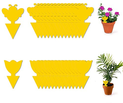 JeoPoom Sticker Fliegenfänger[50 Stück], Gelbtafeln, Fruchtfliegenfalle, Fliegenfänger, Topfpflanze Gegen Trauermücken Blattläuse, Minierfliegen, Garten, Innenraum, Balkon(Gelb)