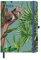 GreenLine Diary Jungle 2024 - Buchkalender - Taschenkalender - 16x22