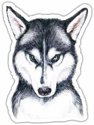 Samunshi® Siberian Husky Aufkleber Autoaufkleber für Motorrad Fahrrad Roller oder Auto Sticker Fahrrad Mtb Mountainbike Rennrad Hund Dog Dogo 25cm Siberian Husky