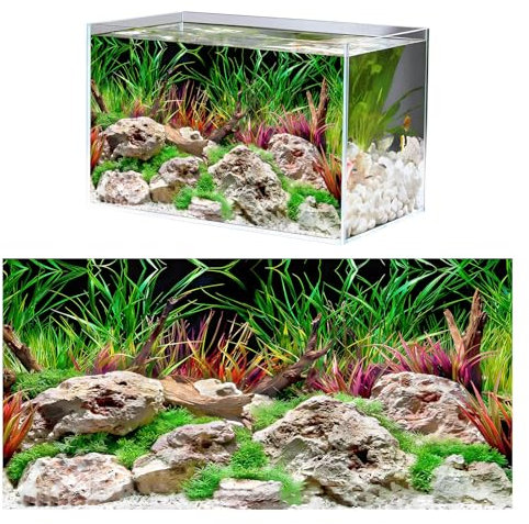 zhongko Realistic Fish Tank Background Pictures, Aquarium Background Underwater Poster, Aquarium Sticker Pvc Self Adhesive Sticker for Reptile Box Fish Tank Wall Picture Decoration 30 x 60cm