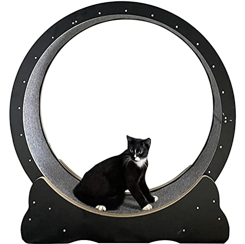 YKMYXZ, Rundes großes Katzenlaufrad for kleine/mittelgroße Haustiere, Indoor-Übungen, M-Schwarz