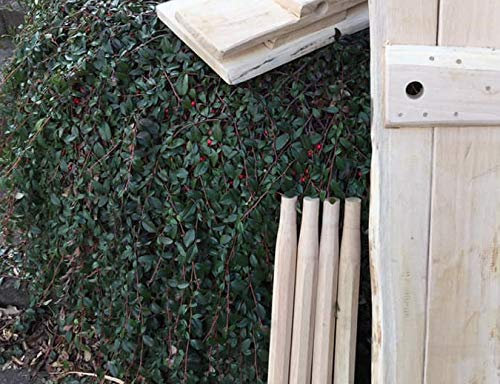Breiter mittelalterlicher Stecktisch aus Eiche. L 115cm, Breite mind 55cm, H 75cm
