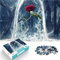 SXBB Puzzle 1000 Teile Film Die Schöne und das Biest - Puzzles für Erwachsene und Kinder - Schwierigkeitsgrade - Rose Red Rose Flower - Bildungsspiel - Familiendekoration - 38x26cm