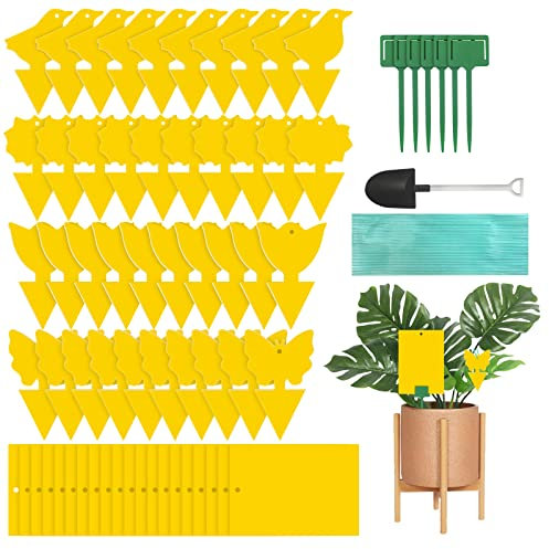 Bighan Gelbsticker Trauermücken Bekämpfen 60 Stück, Gelbtafeln für die Zimmerpflanzen Schädlingsbekämpfung