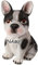 alles-meine.de GmbH große Spardose - Motivwahl - Hund - Bulldogge -16 cm - incl. Name - mit Verschluss - stabile Sparbüchse - aus Kunstharz/Polystone - Sparschwein - für Kinder..