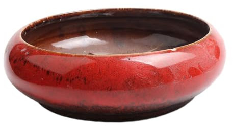 kawehiop Große, runde, saftige Pflanzschale, kreativ für den Innen und Außenbereich, Keramik, dekorativer Garten Kaktus Blumen Pflanzenbehälter, Rot