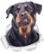 Winston & Bear Lustige Rottweiler-Hunde-Wandaufkleber, 2 Stück – Rottie 3D Aufkleber Decals für Wände, Autos, Toilette und mehr – Retail-verpackt Rottweiler-Geschenke