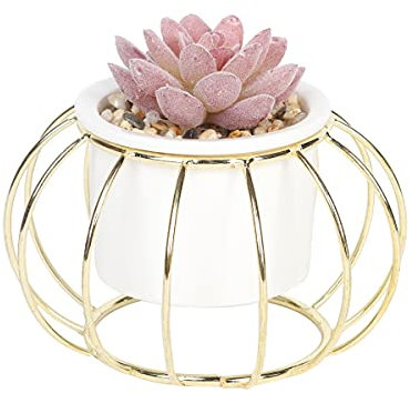 Sleepdown Halo Red Succulent Artificial Faux Plant Gold Cage Stand for Home Office Bathroom Decor Indoor Decoration Aesthetics, Small