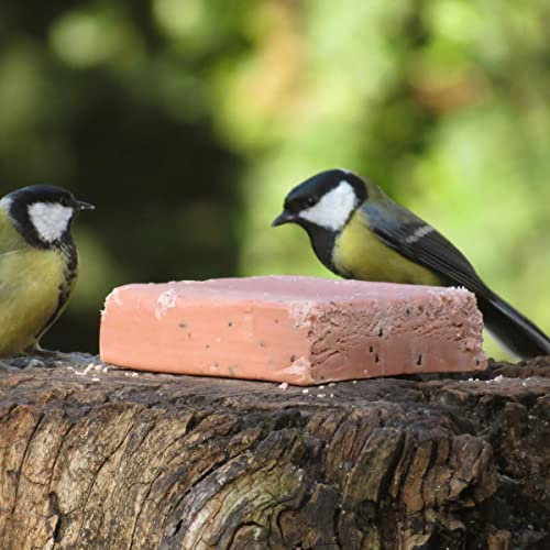 ANICULIS - Energieblock für Wildvögel mit Beeren, Premium-Qualität, Vogelfutter für Gartenvögel zur Ganzjahresfütterung, im Sparpaket - Multipack (12 x 280g)
