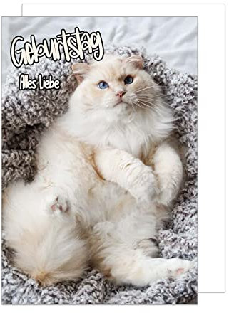 Edition Seidel Premium Geburtstagskarte mit Umschlag. Glückwunschkarte Grusskarte Billet Geburtstag Happy Birthday Mann Frau Kind Alles Liebe Katze kuscheln Karte (G3300 SW023)