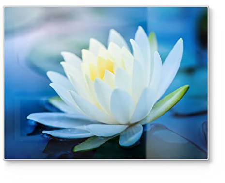 DEQORI Schneidebrett aus Glas | groß 40x30 cm | Motiv Lotusblüte im Wasser | Design Schneideplatte für Küche | Frühstücksbrett antibakteriell & rutschfest | Glasplatte & Servierplatte
