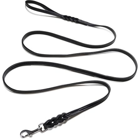 Jack & Russell Leder Hundeleine geflochten – Hunde Lederleine aus Büffelleder schwarz und Edelstahl Karabiner - Leine Katalina (2,5 m)