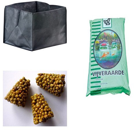 NINFEA COLORATA RUSTICA RESISTENTE (SOLO VASO + TERRA)