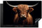 KitchenYeah© Herdabdeckplatte 80x52 cm Einteilig Induktionsmatte Küche Abdeckung Ceranfeld Herd Abdeckplatte Deko Vinyl Matte Aufrollbar Schottisches Hochlandrind - Schwarz - Kuh - Tiere