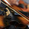Juroupi 4 en 1 Cuerdas de Violín Goma Silenciador Puente de Madera de Arce Paño de Limpieza Kit de Accesorios