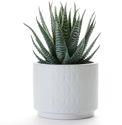 Artificial Plant in Pot - Small Faux Plant for Desk, Bathroom, Shelf & Coffee Table - Realistic Indoor Aloe Plant in white ceramic pot for Home Decor - 18cm high - by Kurrajong Farmhouse