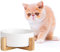 Gamelle en Céramique pour Chats et Chiots - Bol pour Chat Surélevée avec Support en Bois - 400 ML