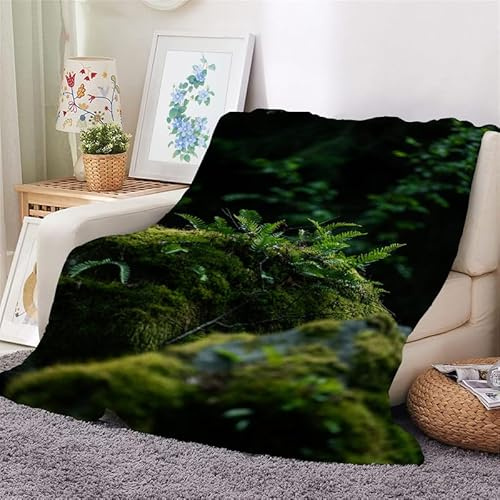 Kuscheldecke 150x200 Pflanze Flauschig Decke Grüne Blätter Warm Flanell Fleecedecke für Sofa und Bett, Weich Gemütlich Wohndecke als Couchdecke Bettüberwurf Wohnzimmerdecke