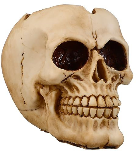 FUNOMOCYA Schädeltopf Schädel-Statue-skulptur Kaktus-pflanzgefäße Skelett-dekor Übertopf Mit -Pflanze Kleine Sukkulententöpfe Skelett Blumentopf Zuckerschüssel Gotische Vase Harz