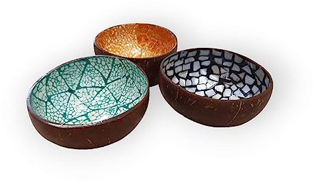Kinaree Cuenco de coco con nácar – Cuenco decorativo de cáscara de coco natural – Cuenco para aperitivos con sabor tropical